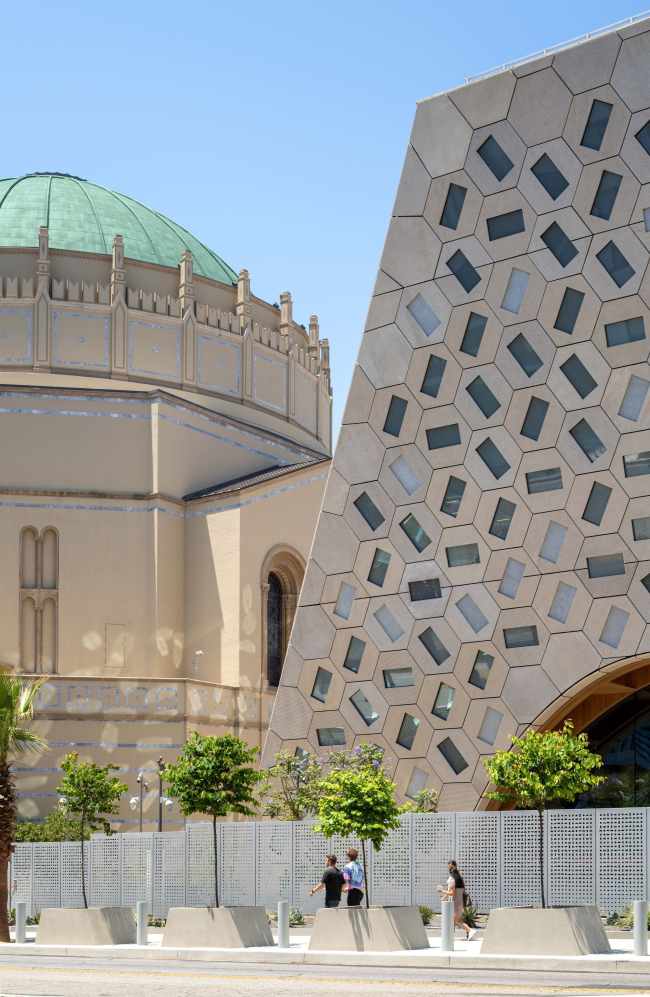 �������� ���� �����