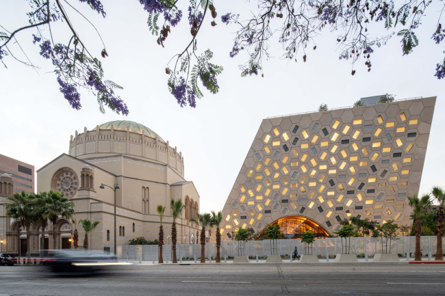 �������� ���� �����