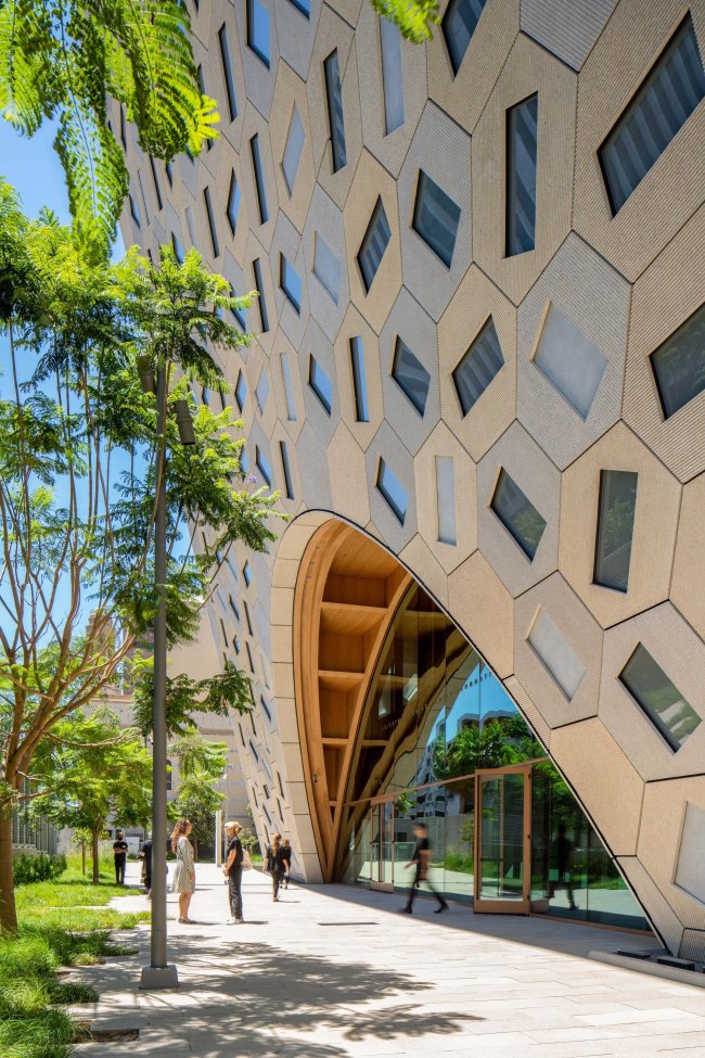 �������� ���� �����