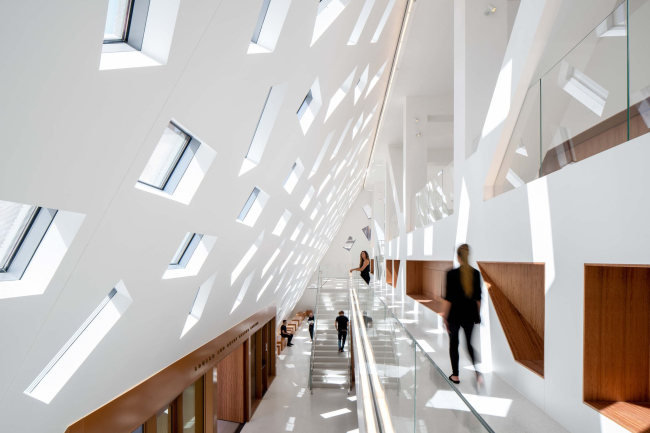 �������� ���� �����