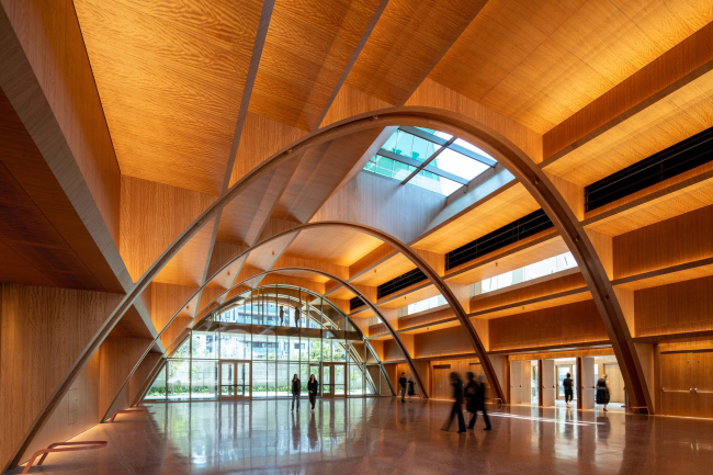 �������� ���� �����