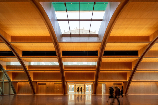 �������� ���� �����