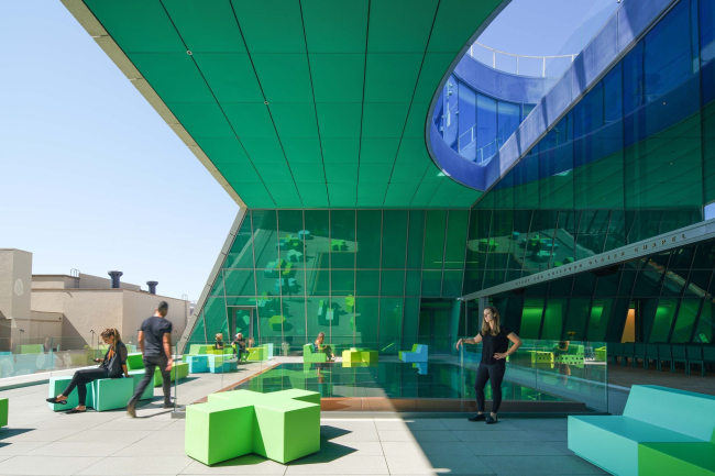 �������� ���� �����