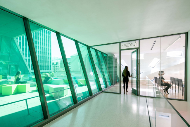 �������� ���� �����