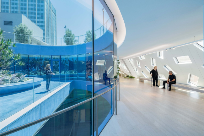 �������� ���� �����