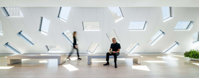 �������� ���� �����