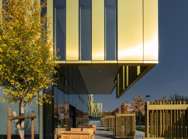 ������� �������� The Sign