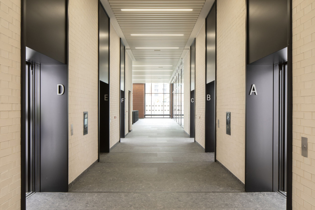 ������� ������ Three New Bailey