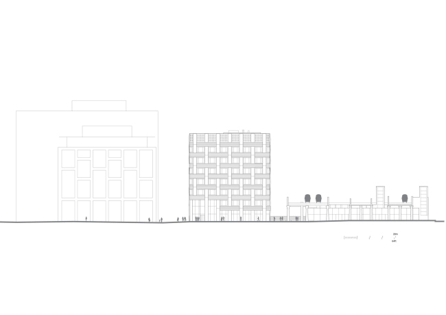 ������� ������ Three New Bailey