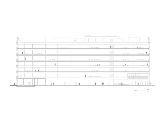 ������� ������ Three New Bailey