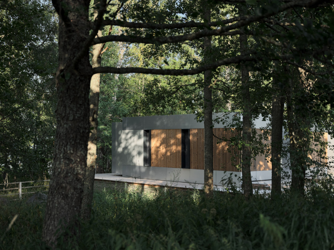 ��������� ���������� ��� ��� �����-�����������