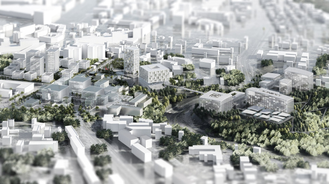 ������������ IT-������ � ������ ���������