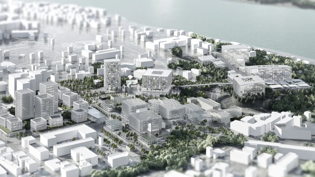 ������������ IT-������ � ������ ���������