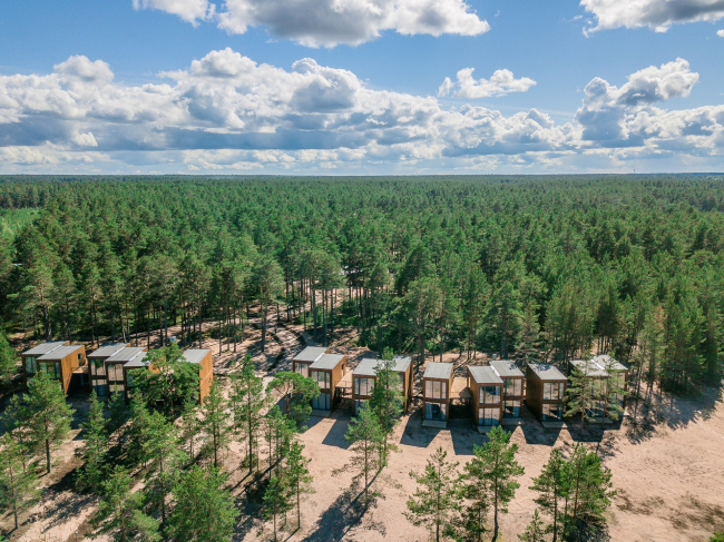 ����� ������ �� �����, Rhizome �� �����