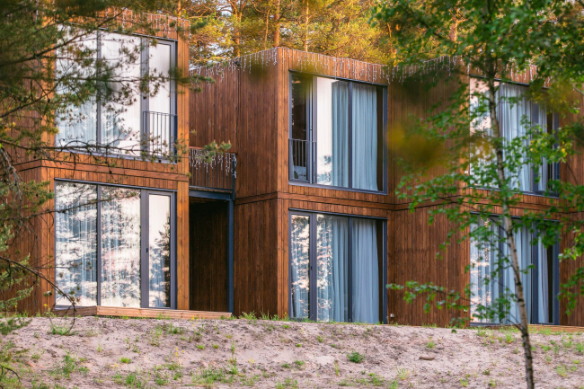 ����� ������ �� �����, Rhizome �� �����