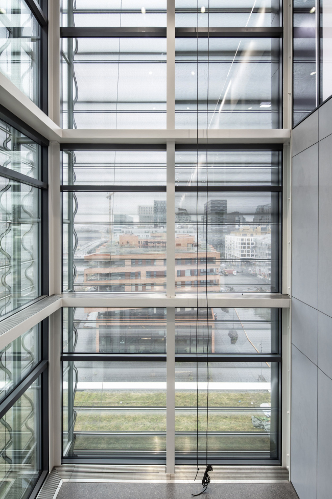 ����� �����