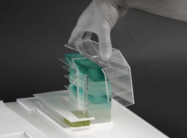 ����� �����