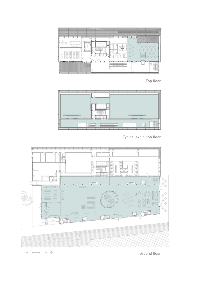 ����� �����