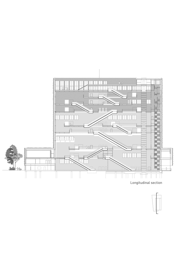 ����� �����