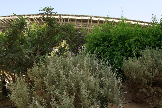 Nicholas Grimshaw, Terra/Sustainability Pavilion. The gardens around it. World Expo 2020 in Dubai, 10.2021 