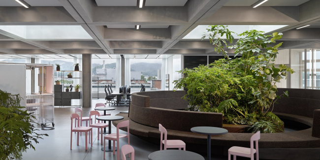 ������ FRITZ �������� Roche