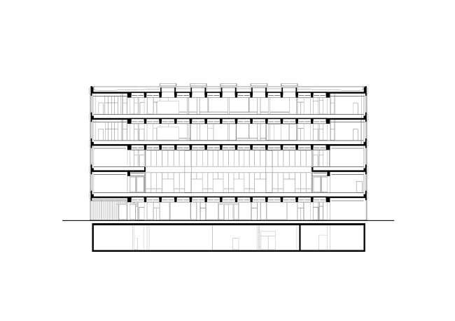 ������ FRITZ �������� Roche