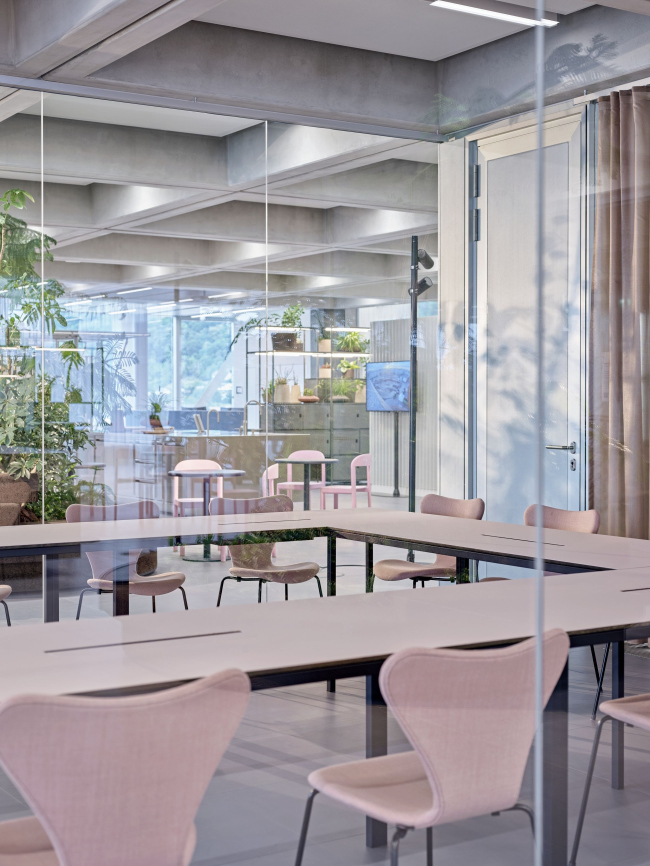 ������ FRITZ �������� Roche