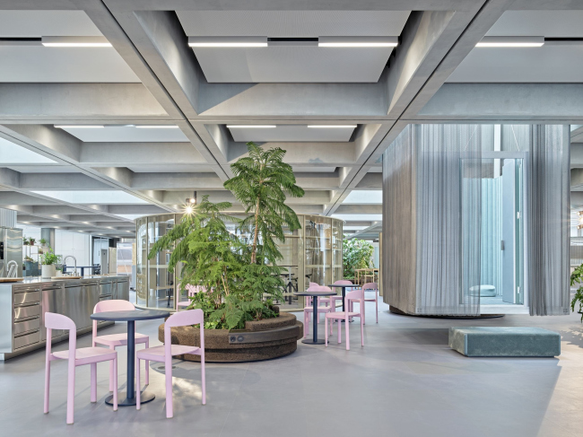 ������ FRITZ �������� Roche