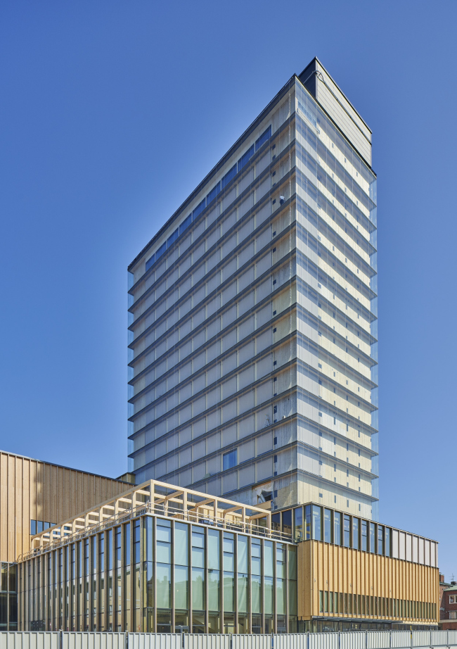 ���������� ����� �����