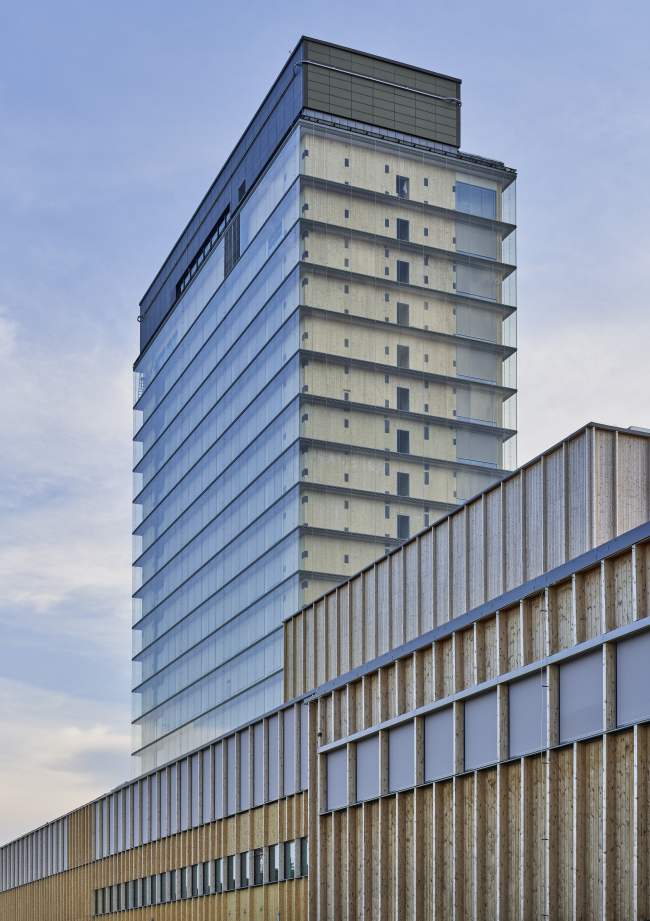 ���������� ����� �����