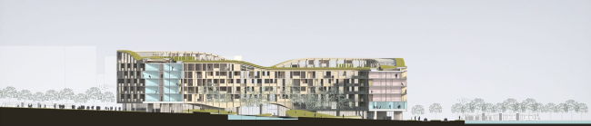 �������� Living Landscape