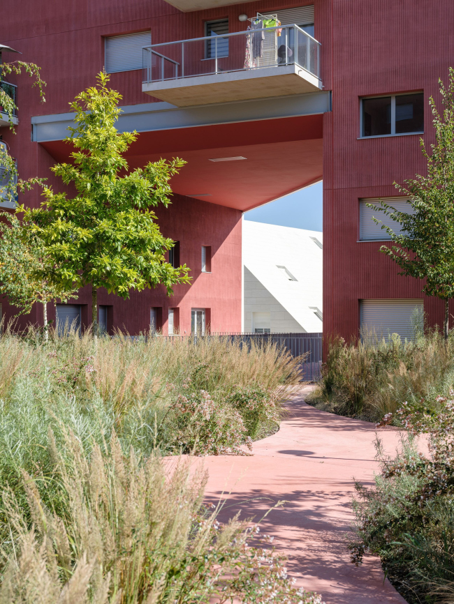 ����� �������� Ilot Queyries