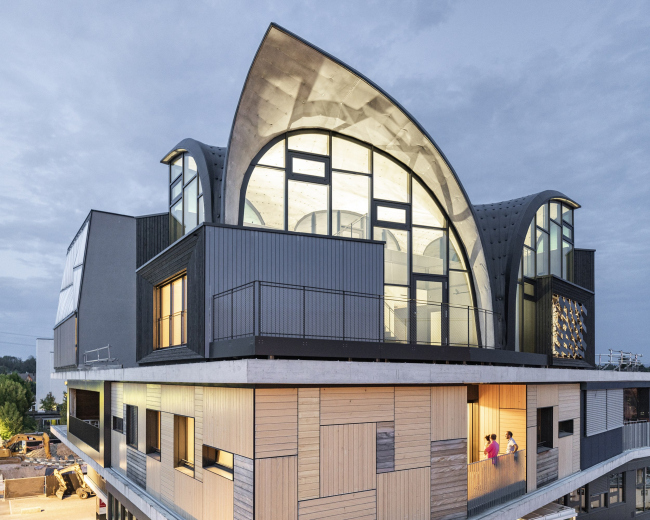 ���-������ HiLo � ������� NEST