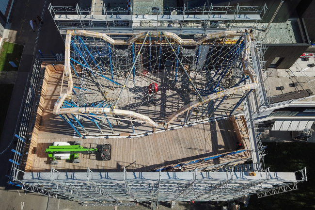 ���-������ HiLo � ������� NEST