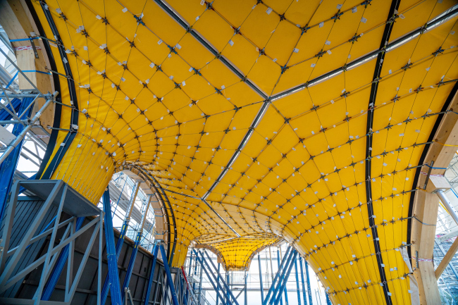 ���-������ HiLo � ������� NEST