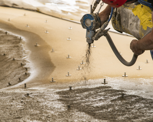 ���-������ HiLo � ������� NEST