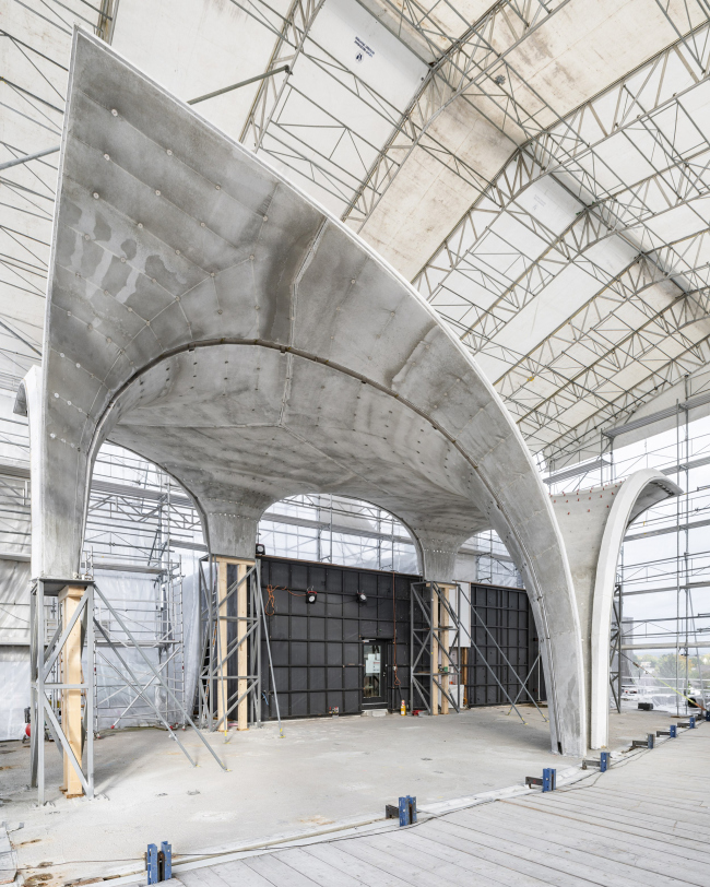 ���-������ HiLo � ������� NEST