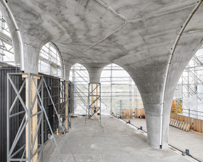 ���-������ HiLo � ������� NEST