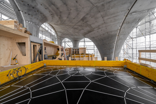 ���-������ HiLo � ������� NEST