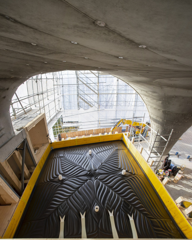 ���-������ HiLo � ������� NEST