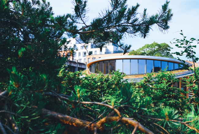 ����� ����� ��������� ���������