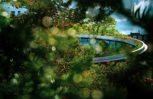 ����� ����� ��������� ���������