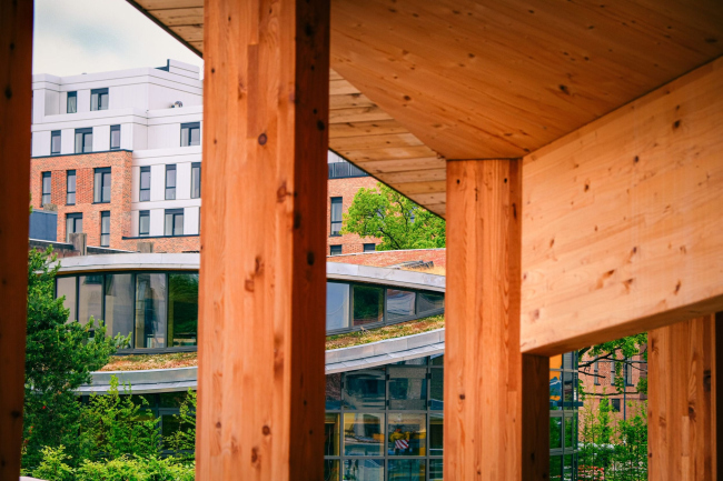 ����� ����� ��������� ���������