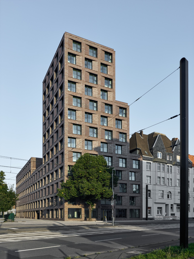 ������������ ��������� HAINBASE