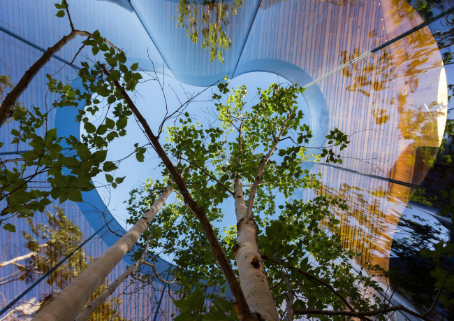 �������������� ����� �����, ���� dRMM (�����, ��������������)