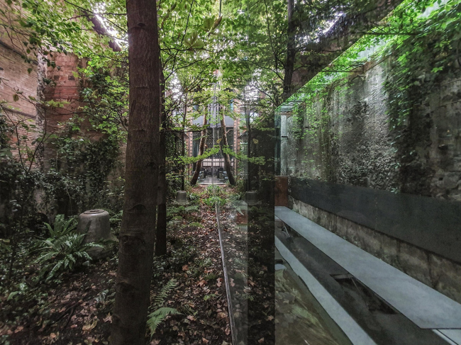 �������� ���� ������������