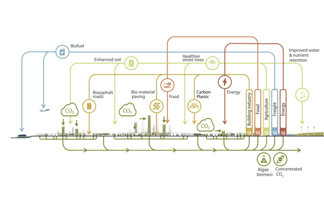 �������������� ������ Urban Sequoia