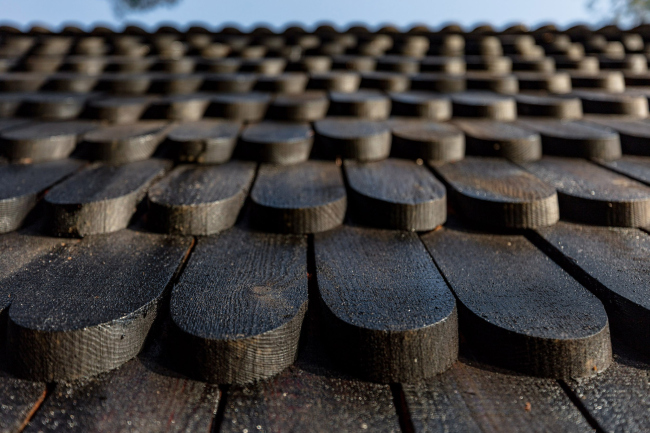 ������� ���������