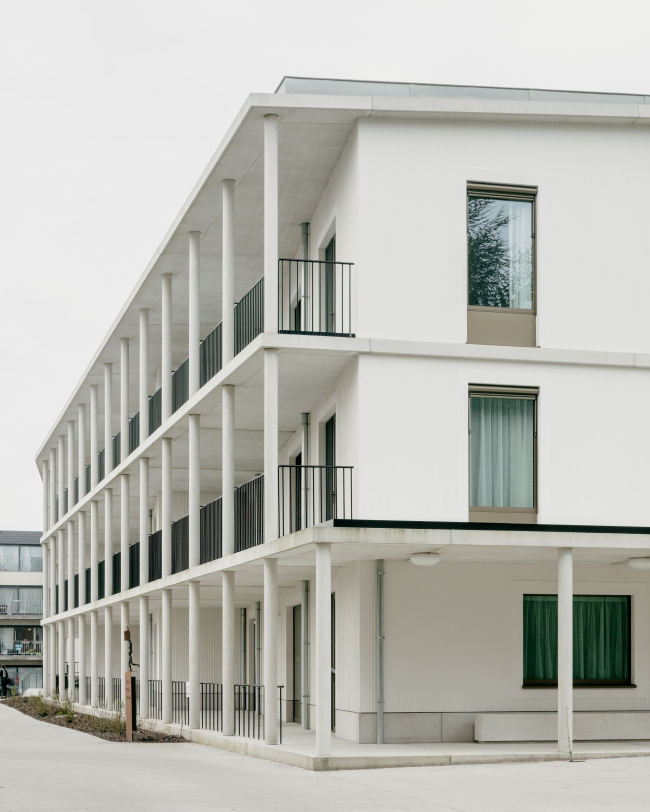 �������� De Korenbloem