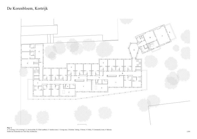 �������� De Korenbloem